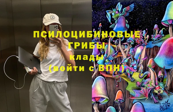 меф Ветлуга