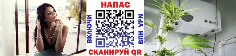 Шишки марихуана OG Kush Колпашево